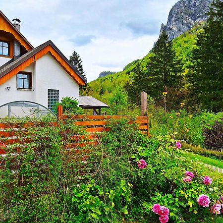 Ingreen House Богиньська Бела Екстер'єр фото