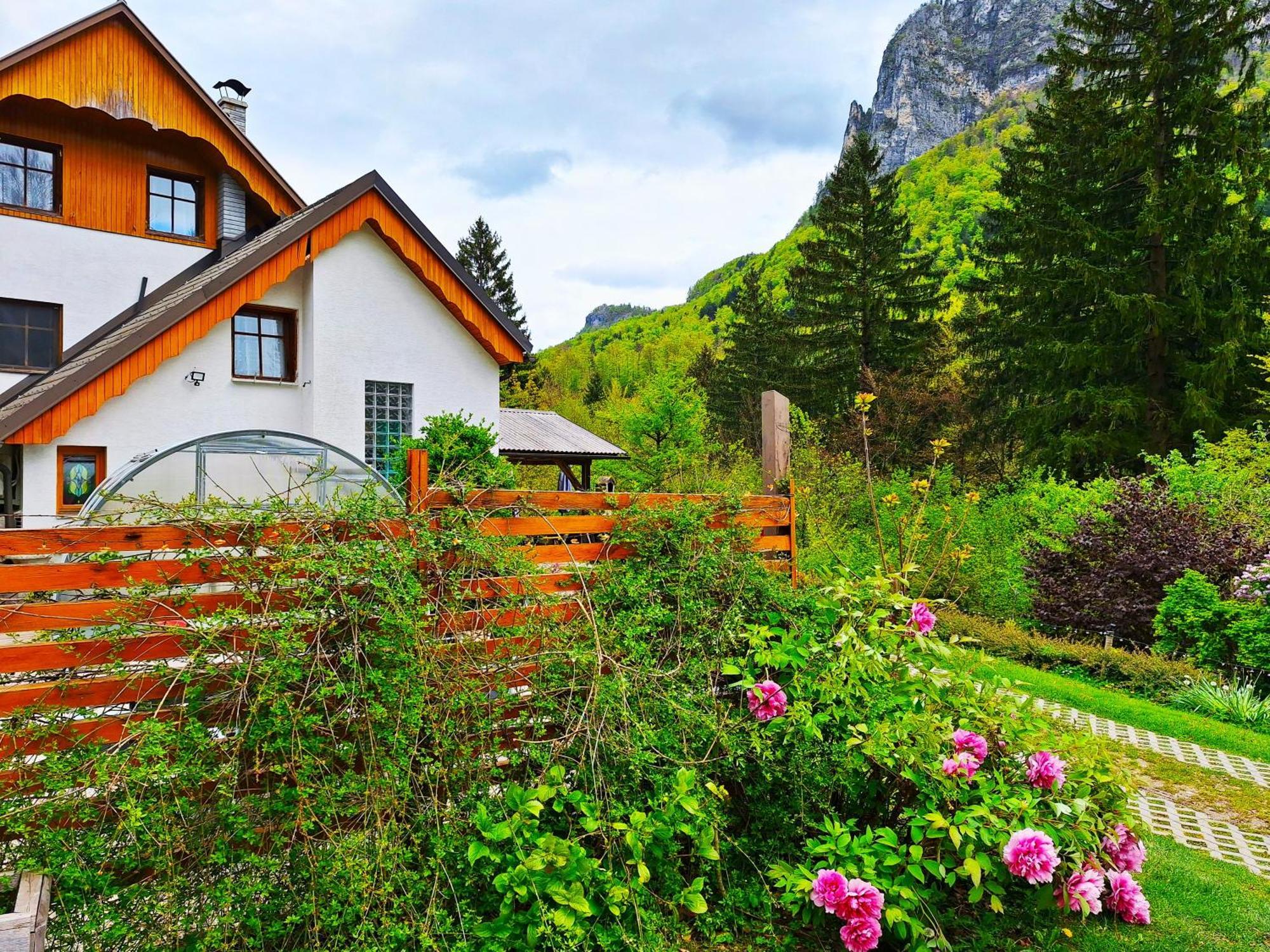 Ingreen House Богиньська Бела Екстер'єр фото