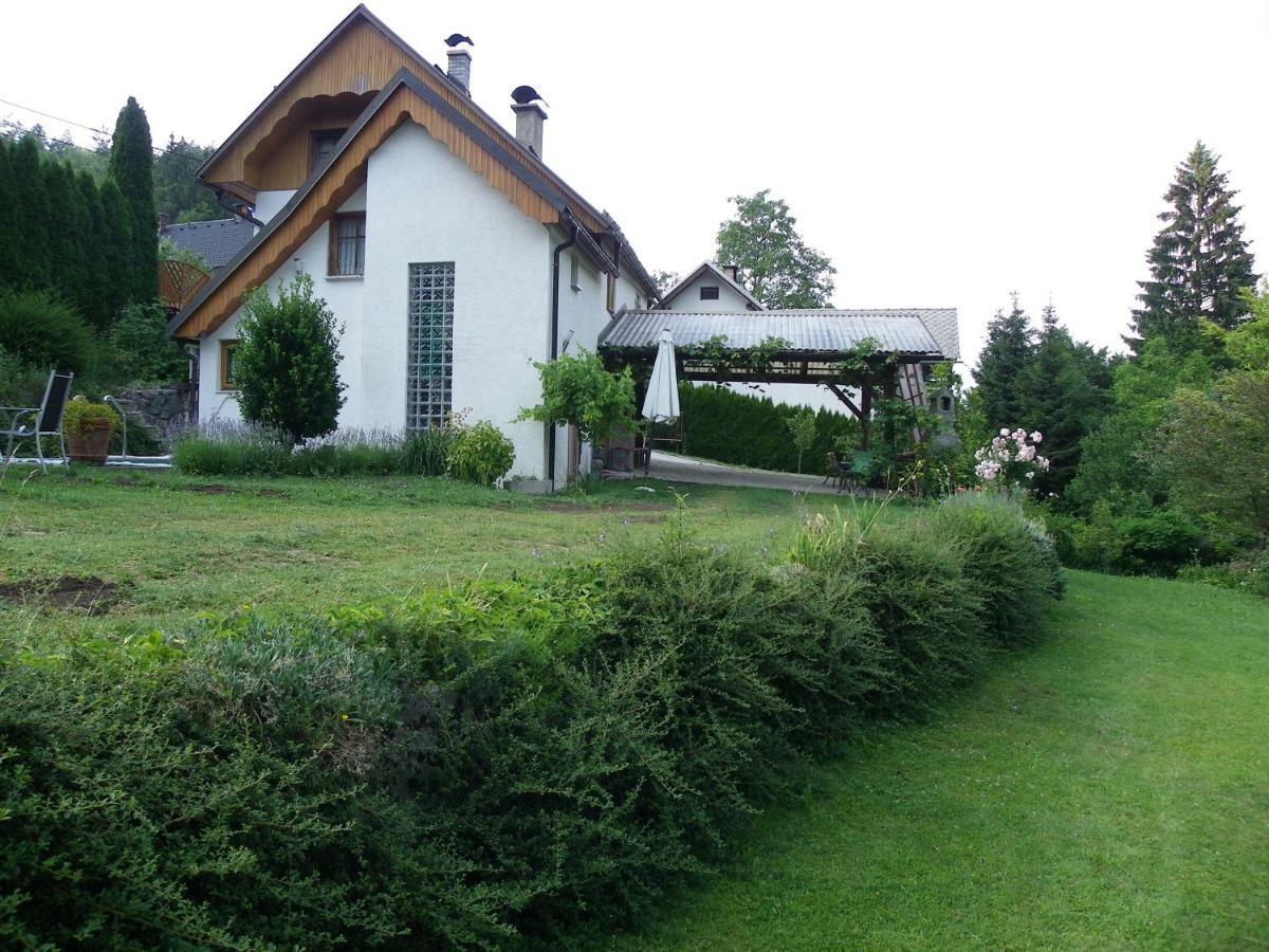 Ingreen House Богиньська Бела Екстер'єр фото